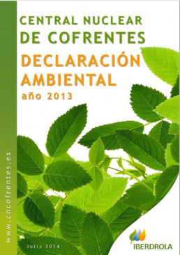 2013 - Declaración ambiental
